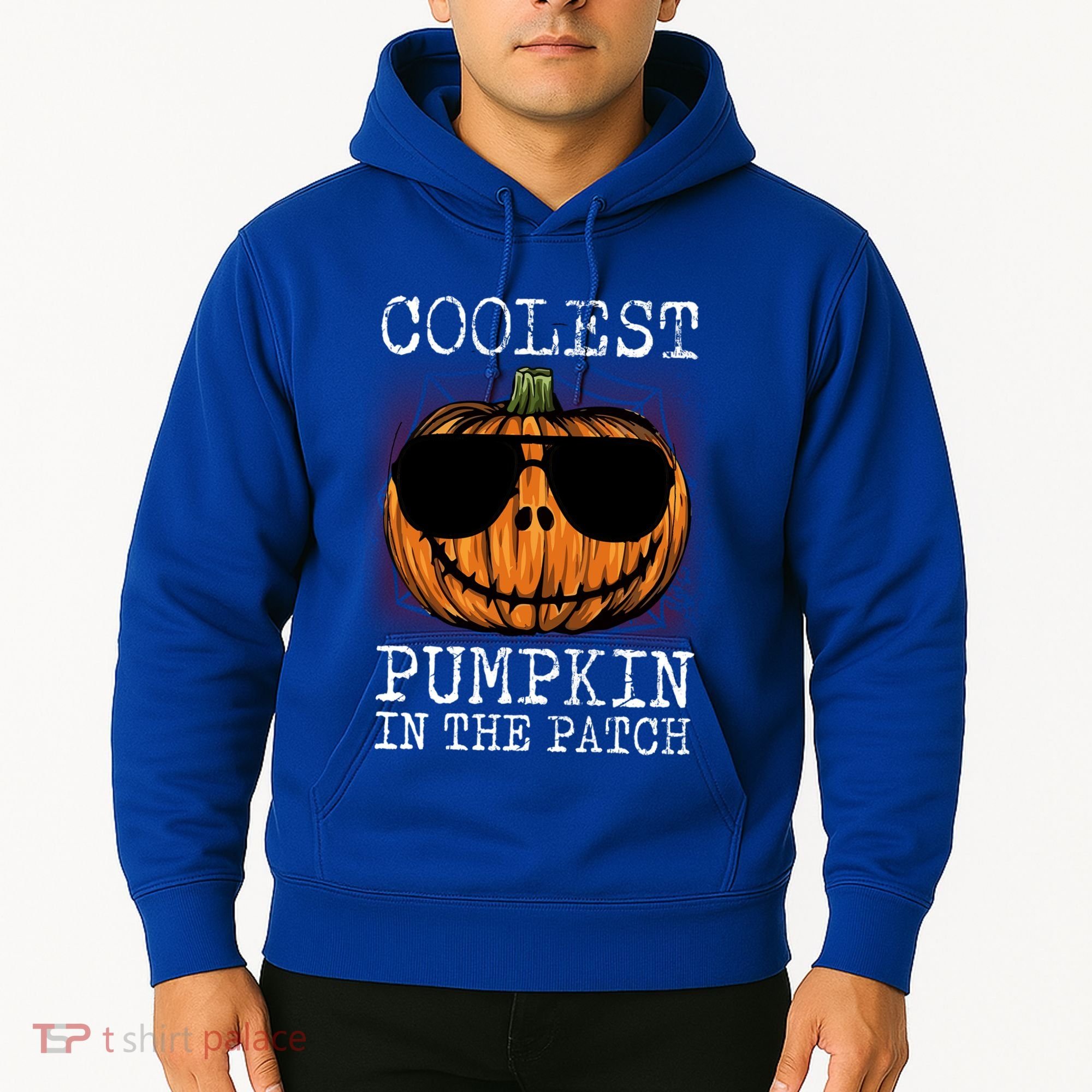 Holiday 365 Halloween Coolest Pumpkin In The Patch Gift Hoodie