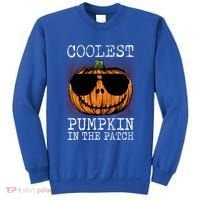 Holiday 365 Halloween Coolest Pumpkin In The Patch Gift Sweatshirt thumb 0