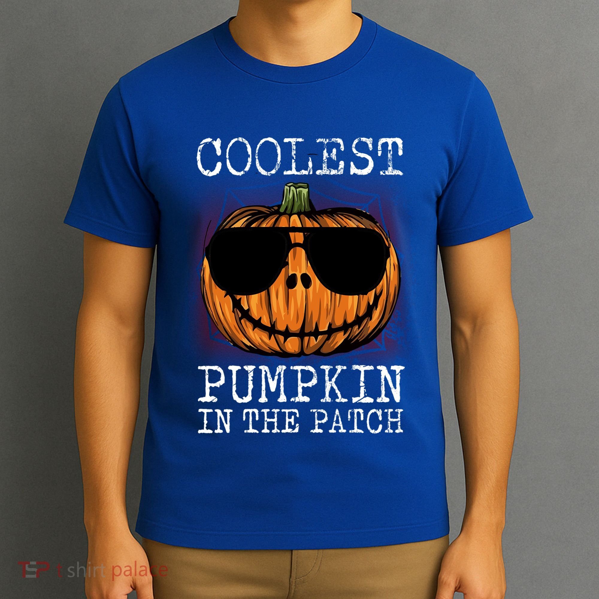 Holiday 365 Halloween Coolest Pumpkin In The Patch Gift T-Shirt
