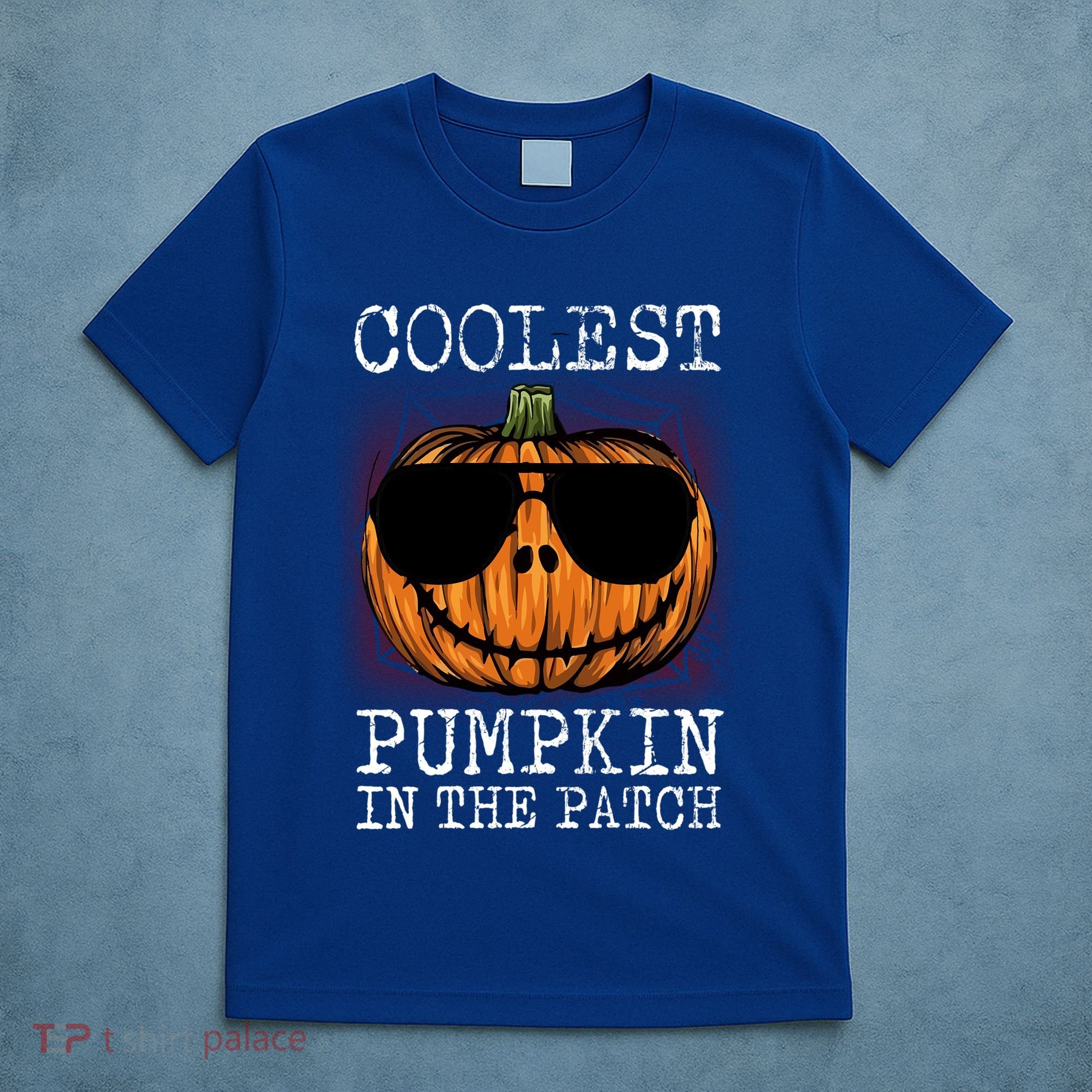 Holiday 365 Halloween Coolest Pumpkin In The Patch Gift T-Shirt