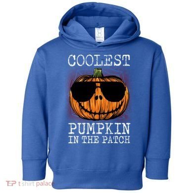 Holiday 365 Halloween Coolest Pumpkin In The Patch Gift Toddler Hoodie