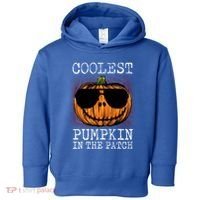 Holiday 365 Halloween Coolest Pumpkin In The Patch Gift Toddler Hoodie thumb 0