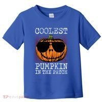Holiday 365 Halloween Coolest Pumpkin In The Patch Gift Toddler T-Shirt thumb 0
