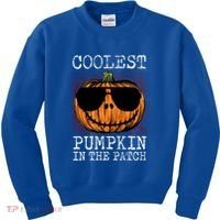 Holiday 365 Halloween Coolest Pumpkin In The Patch Gift Kids Sweatshirt thumb 0