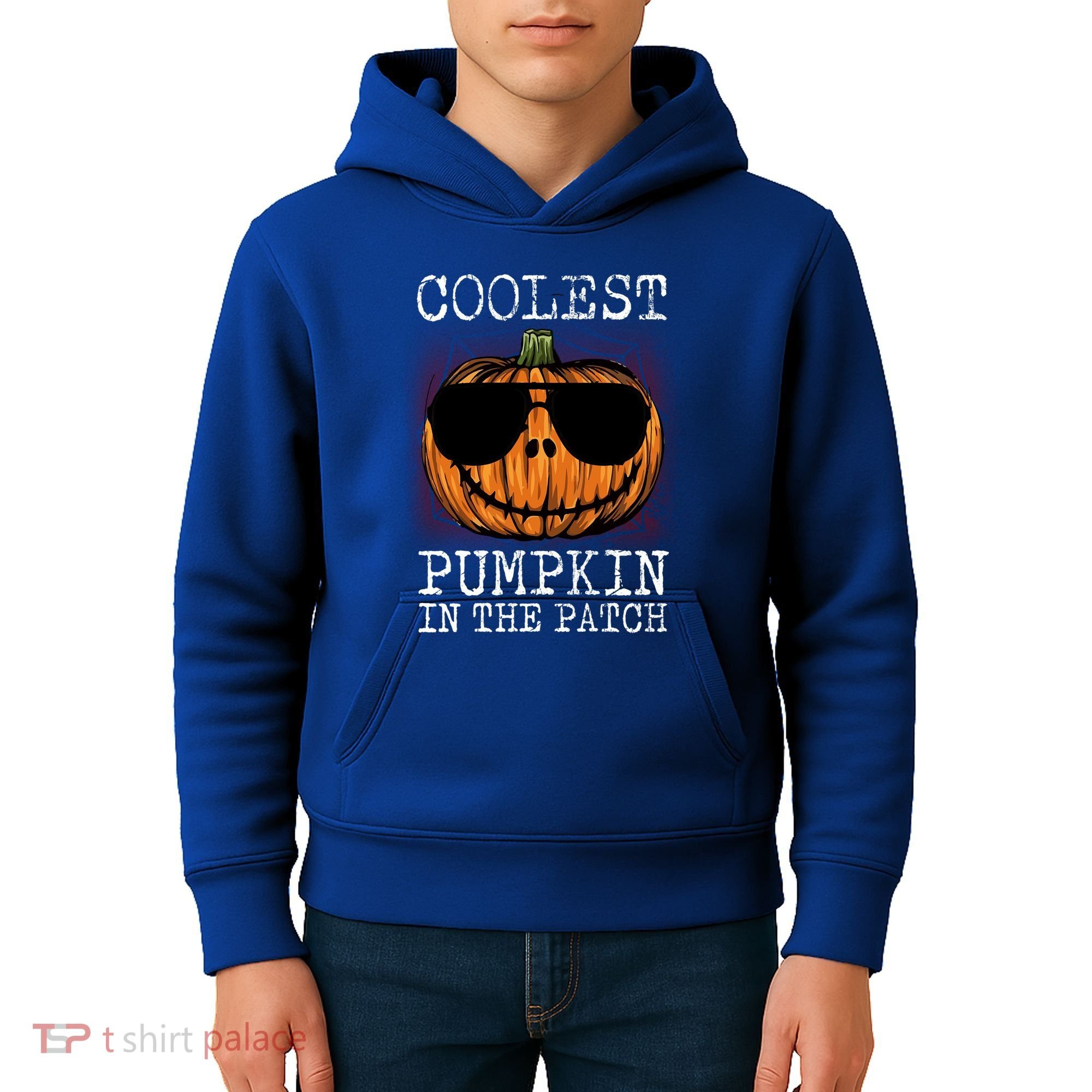 Holiday 365 Halloween Coolest Pumpkin In The Patch Gift Kids Hoodie