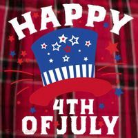 Happy 4th Of July Festive Celebration Men's Flannel Plaid Pajama Pants thumb 2