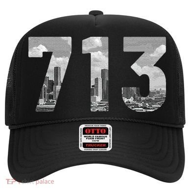 Houston 713 Area Code Skyline Texas Pride Vintage Hat