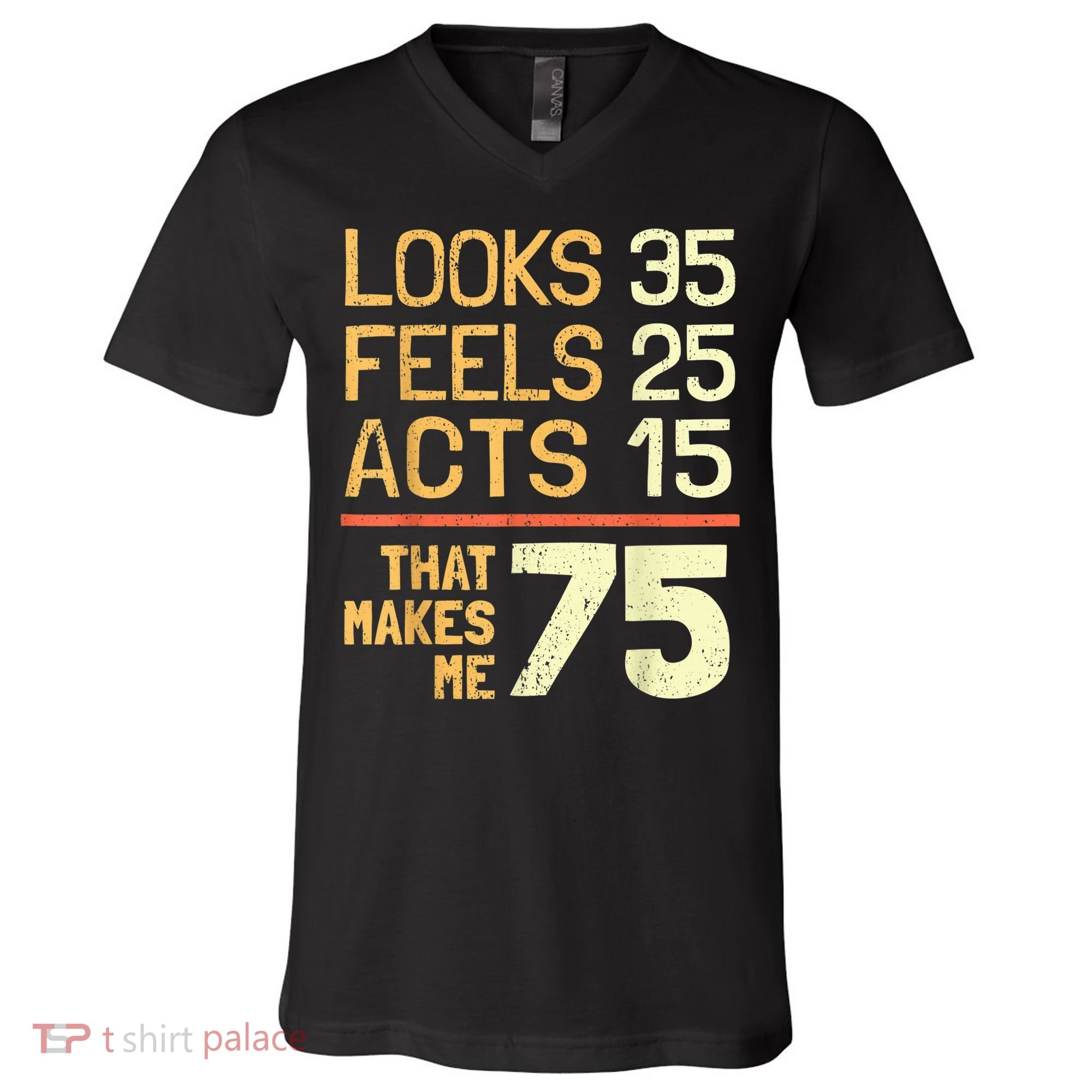 Hilarious 75th Birthday Present Idea I 75 Years V-Neck T-Shirt
