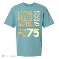 Hilarious 75th Birthday Present Idea I 75 Years Sueded Cloud Jersey T-Shirt thumb 0