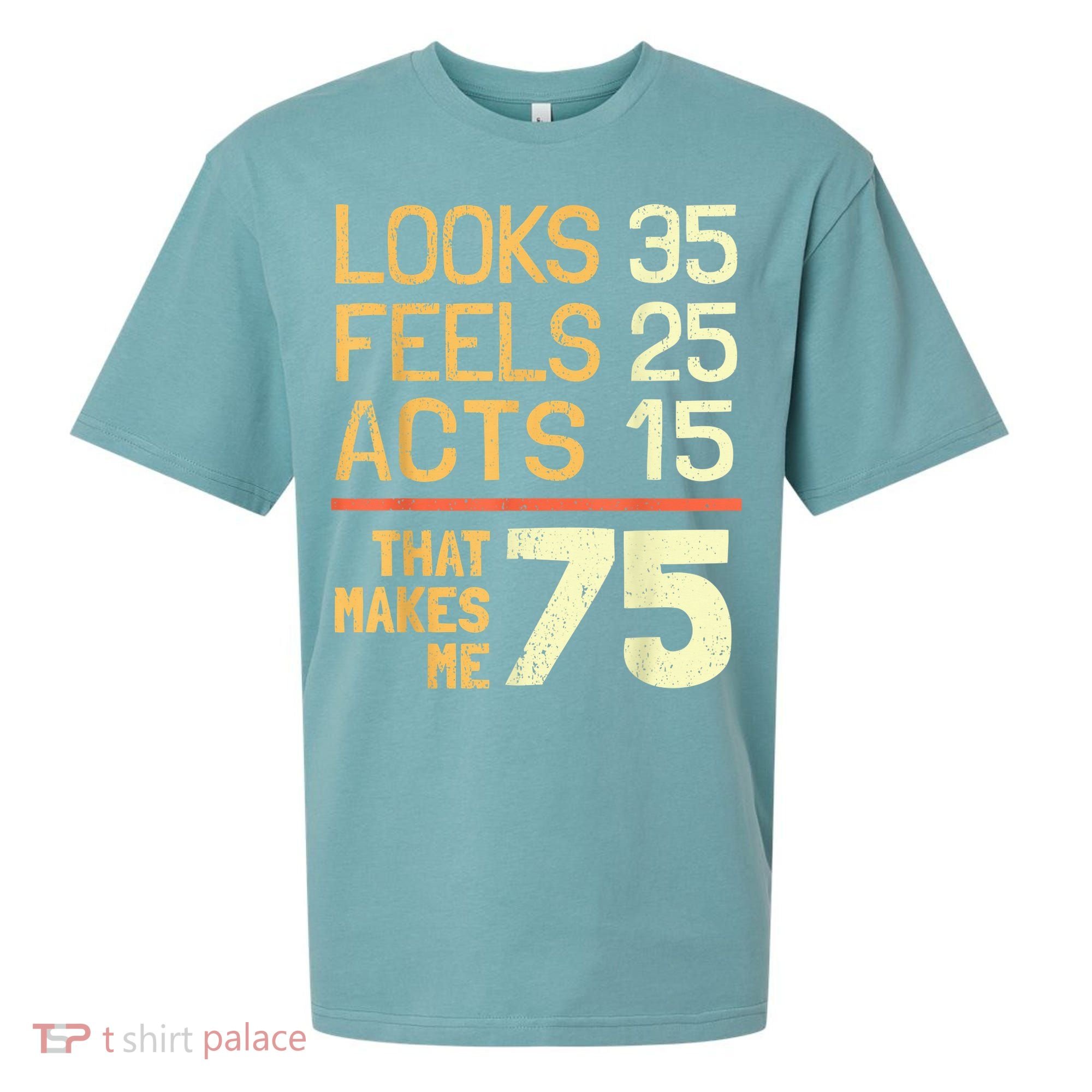 Hilarious 75th Birthday Present Idea I 75 Years Sueded Cloud Jersey T-Shirt