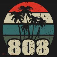 Hawaii 808 Oahu Waikiki Maui Kona Kauai Hawaiian Area Code Ornament thumb 1