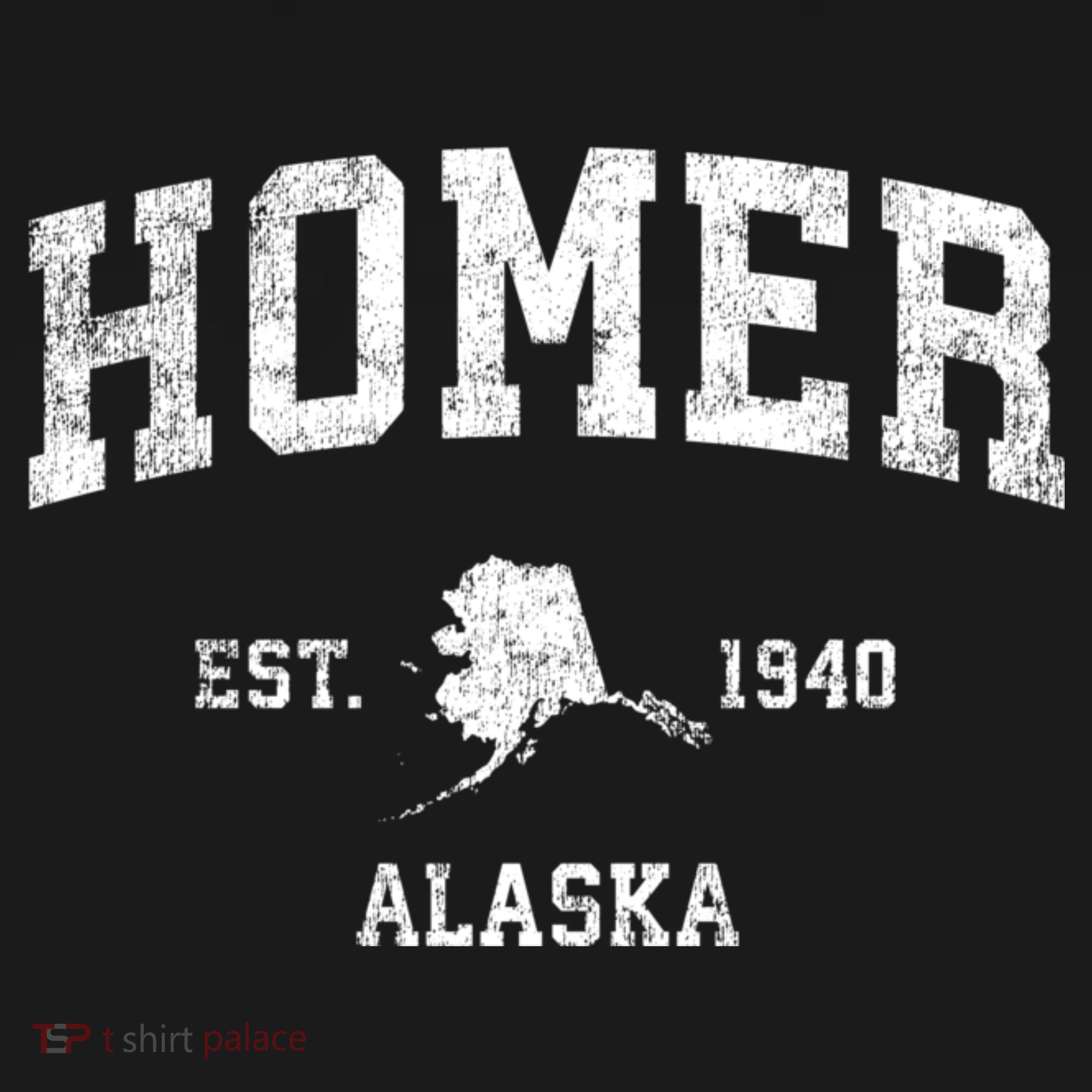 Homer Alaska Ak Vintage Sports T-Shirt
