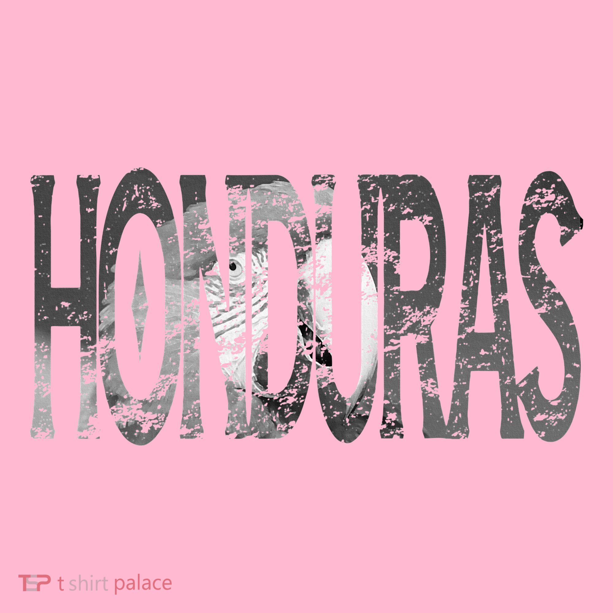 Honduras Art Concept Honduran Landscape HondureñO Coaster