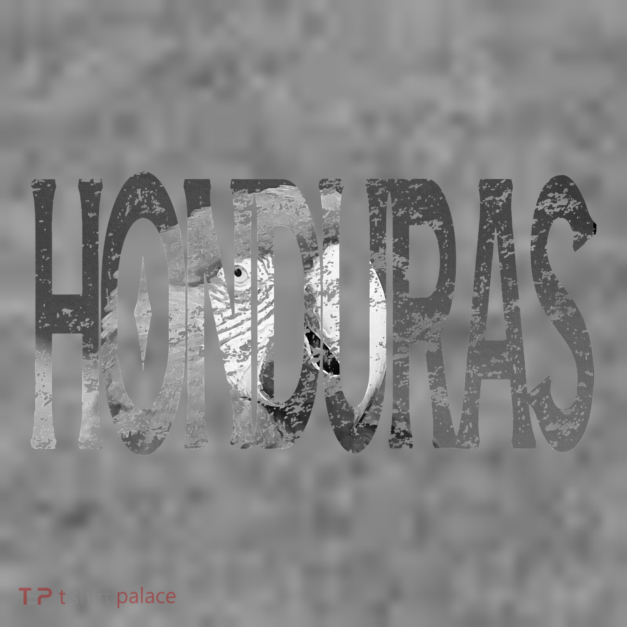 Honduras Art Concept Honduran Landscape HondureñO Toddler Hoodie