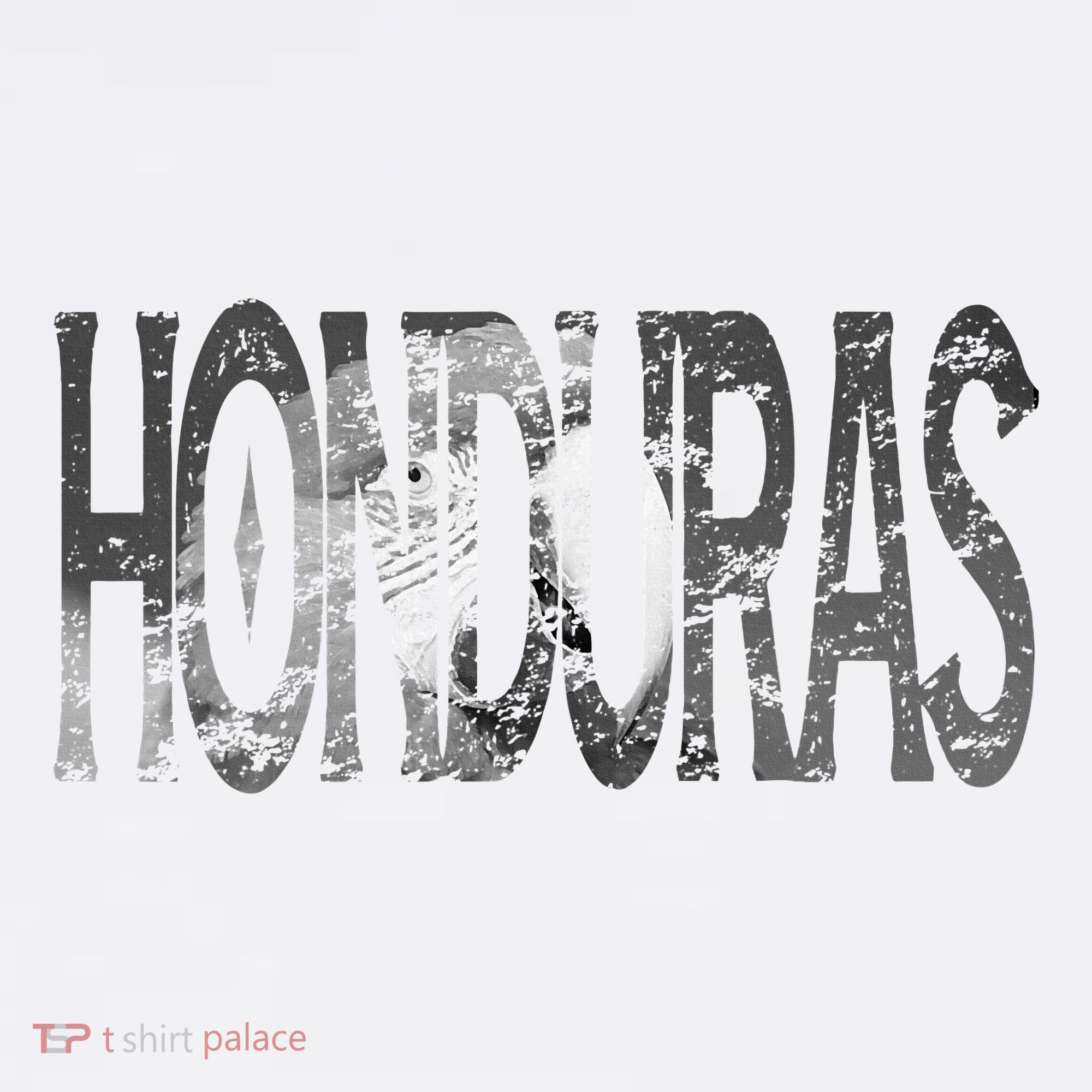 Honduras Art Concept Honduran Landscape HondureñO Women's Hoodie