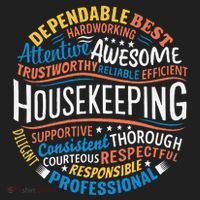 Housekeeping Appreciation Gifts Environmental Services Week Gift Hat thumb 2