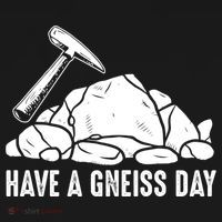 Have A Gneiss Day Geologist Geology Gift Women's Hoodie thumb 2