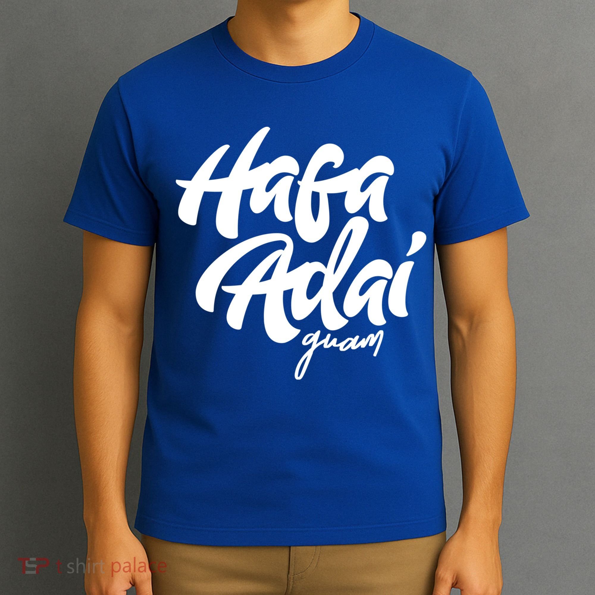 Hafa Adai Guam Gift Vintage Funny Gift For Guaian 671 Seal Gift T-Shirt