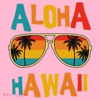 Hawaiian Aloha Hawaii Coaster thumb 2
