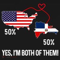 Half American Half Dominican Flag Combined Rd Usa Pride Meaningful Gift Ornament thumb 1