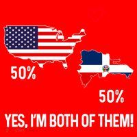 Half American Half Dominican Flag Combined Rd Usa Pride Meaningful Gift Santa Hat thumb 1