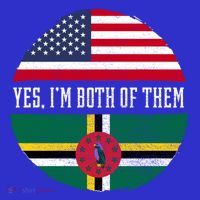 Half American Half Dominican Usa Flag Dominica Heritage Dna Funny Gift T-Shirt thumb 7