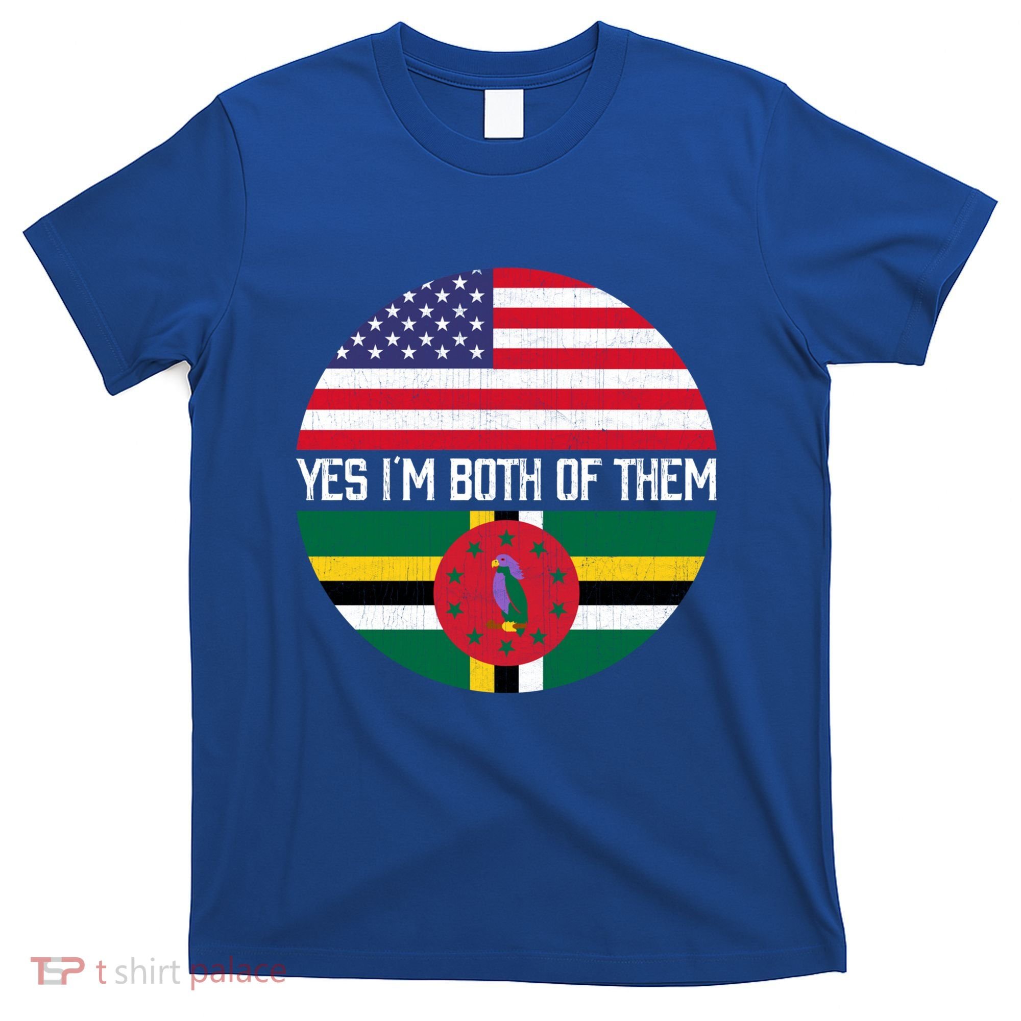 Half American Half Dominican Usa Flag Family Heritage Funny Gift T-Shirt