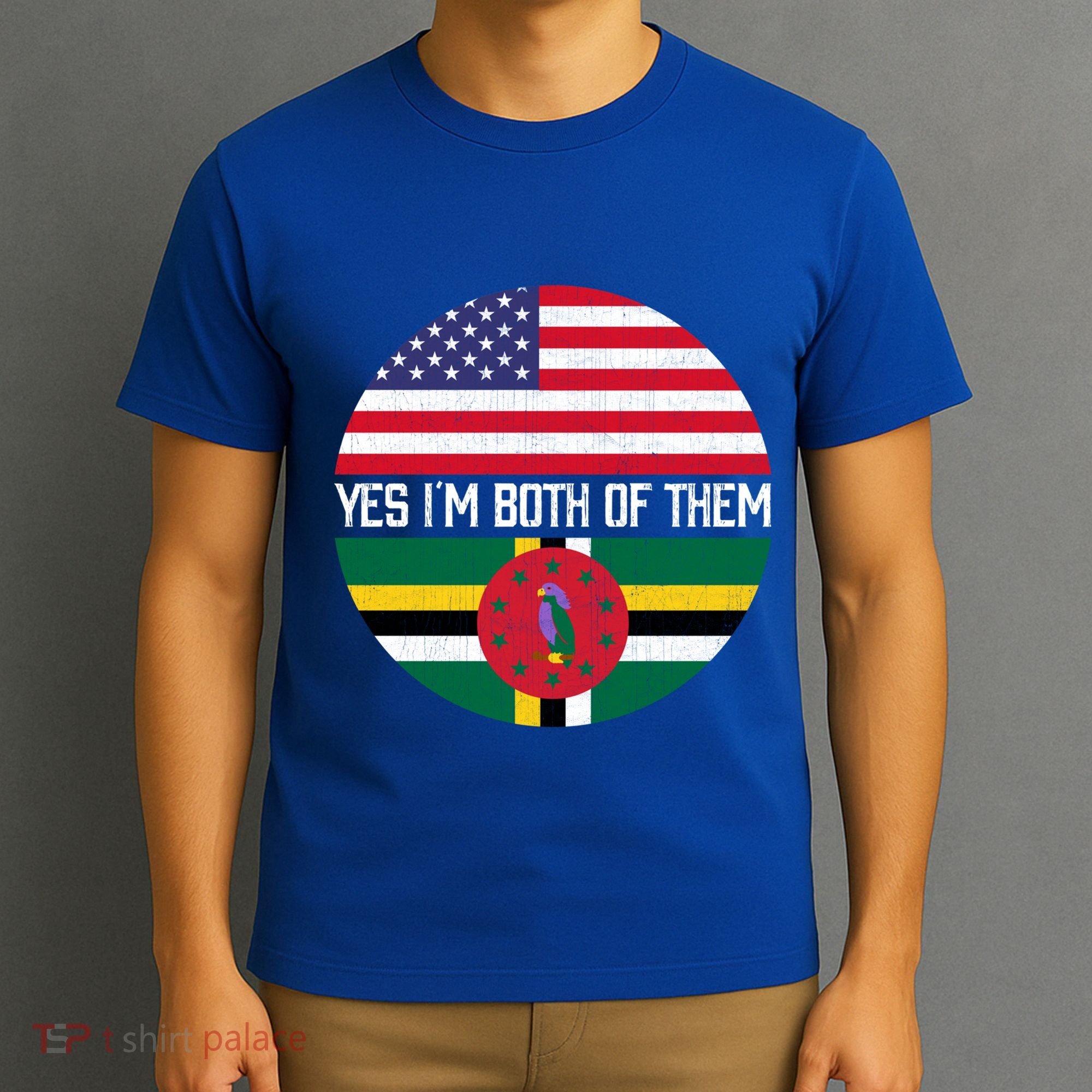 Half American Half Dominican Usa Flag Family Heritage Funny Gift T-Shirt