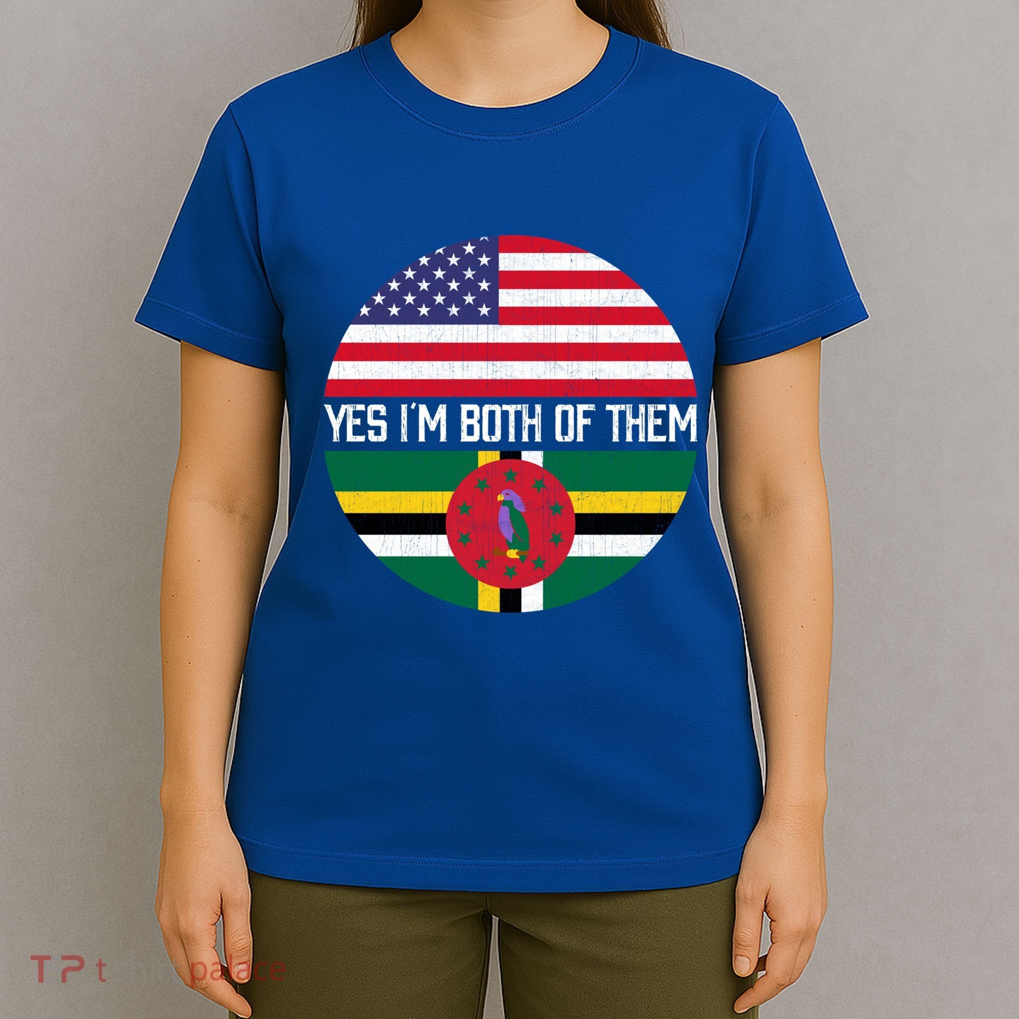 Half American Half Dominican Usa Flag Family Heritage Funny Gift T-Shirt
