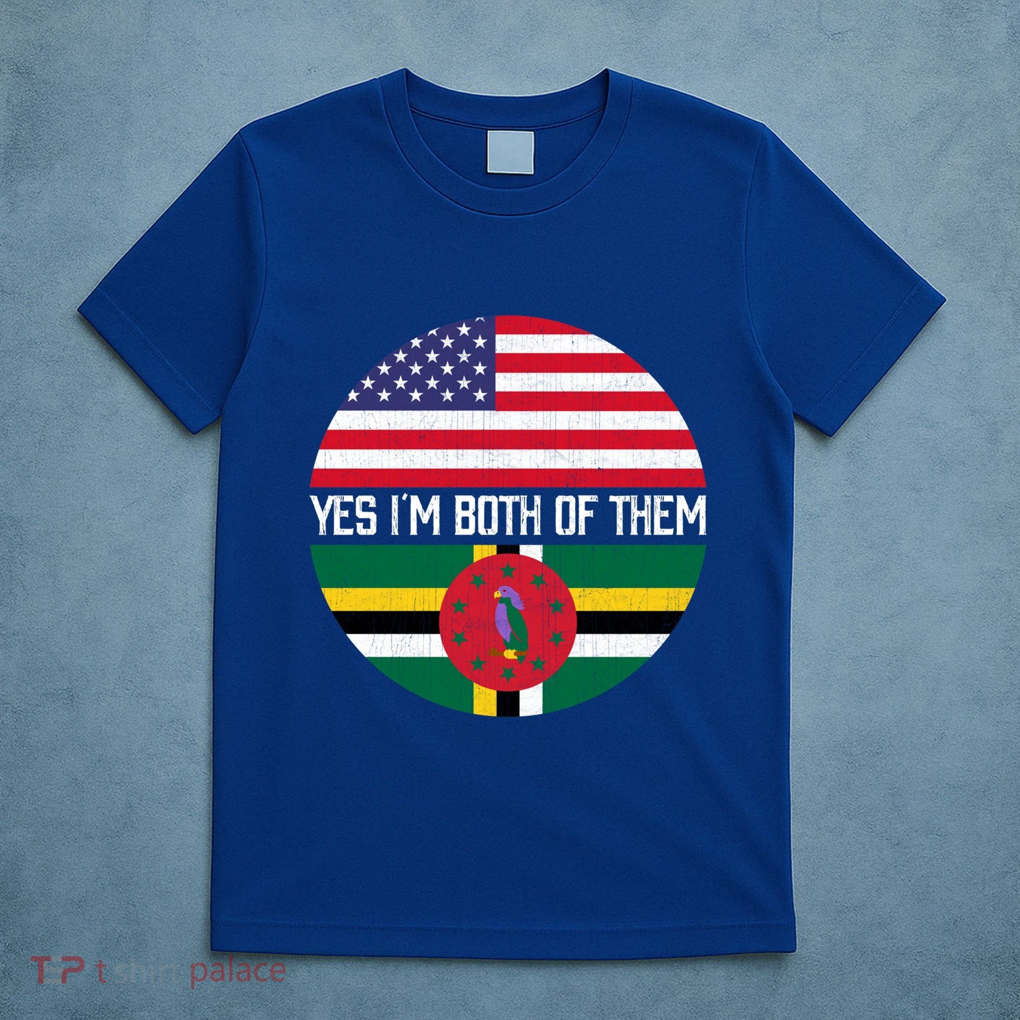 Half American Half Dominican Usa Flag Family Heritage Funny Gift T-Shirt
