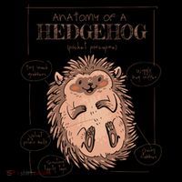 Hedgehog Anatomy Coffee Mug thumb 5