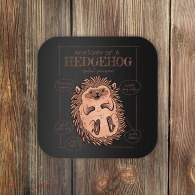 Hedgehog Anatomy Coaster