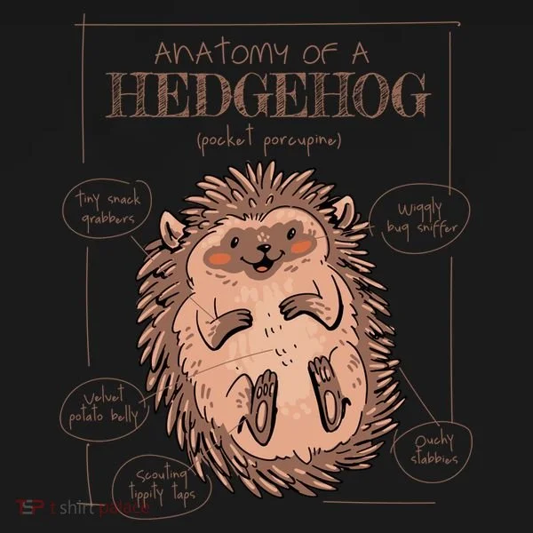 Hedgehog Anatomy Coaster