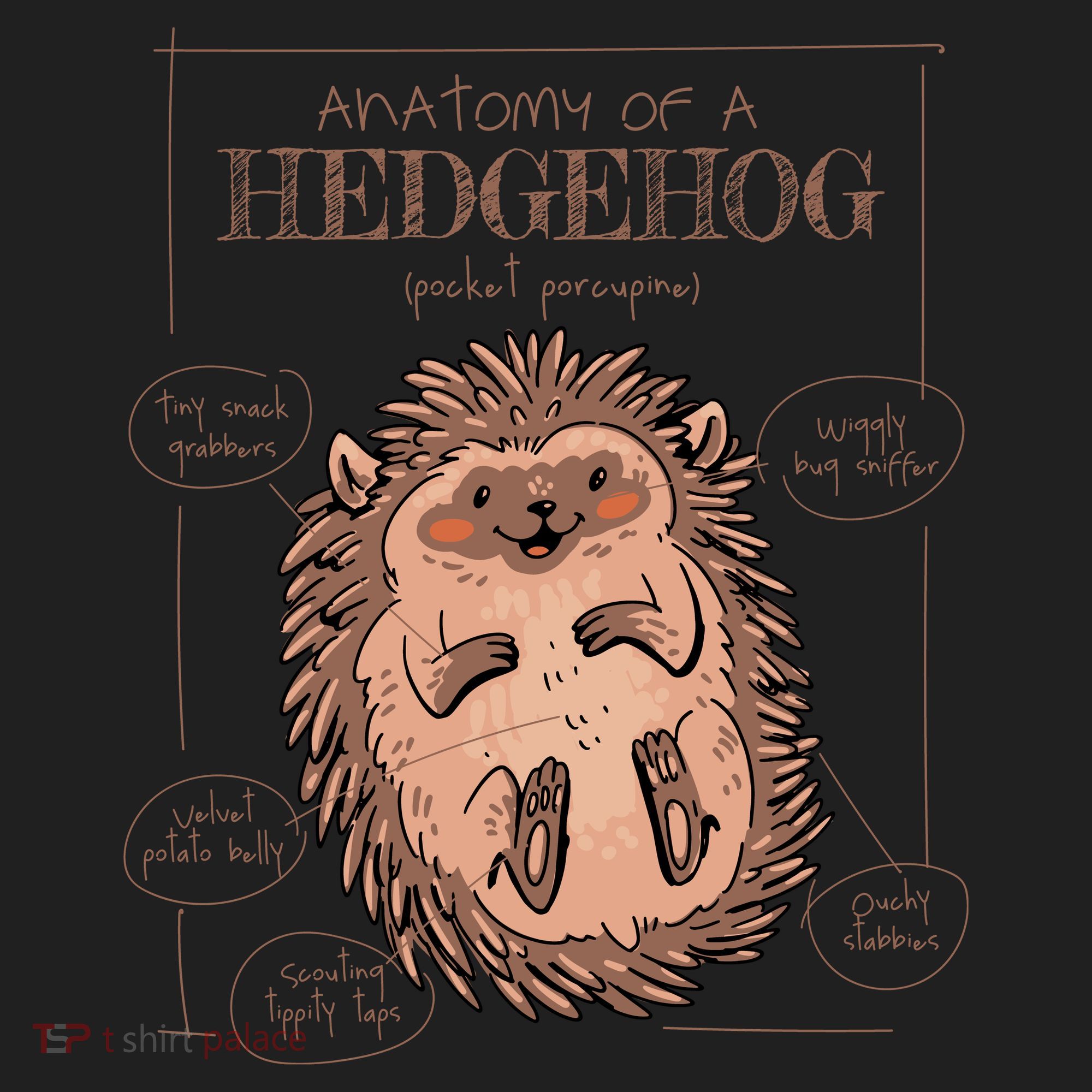 Hedgehog Anatomy Tumbler