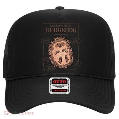 Hedgehog Anatomy Hat