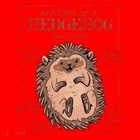 Hedgehog Anatomy Santa Hat thumb 1