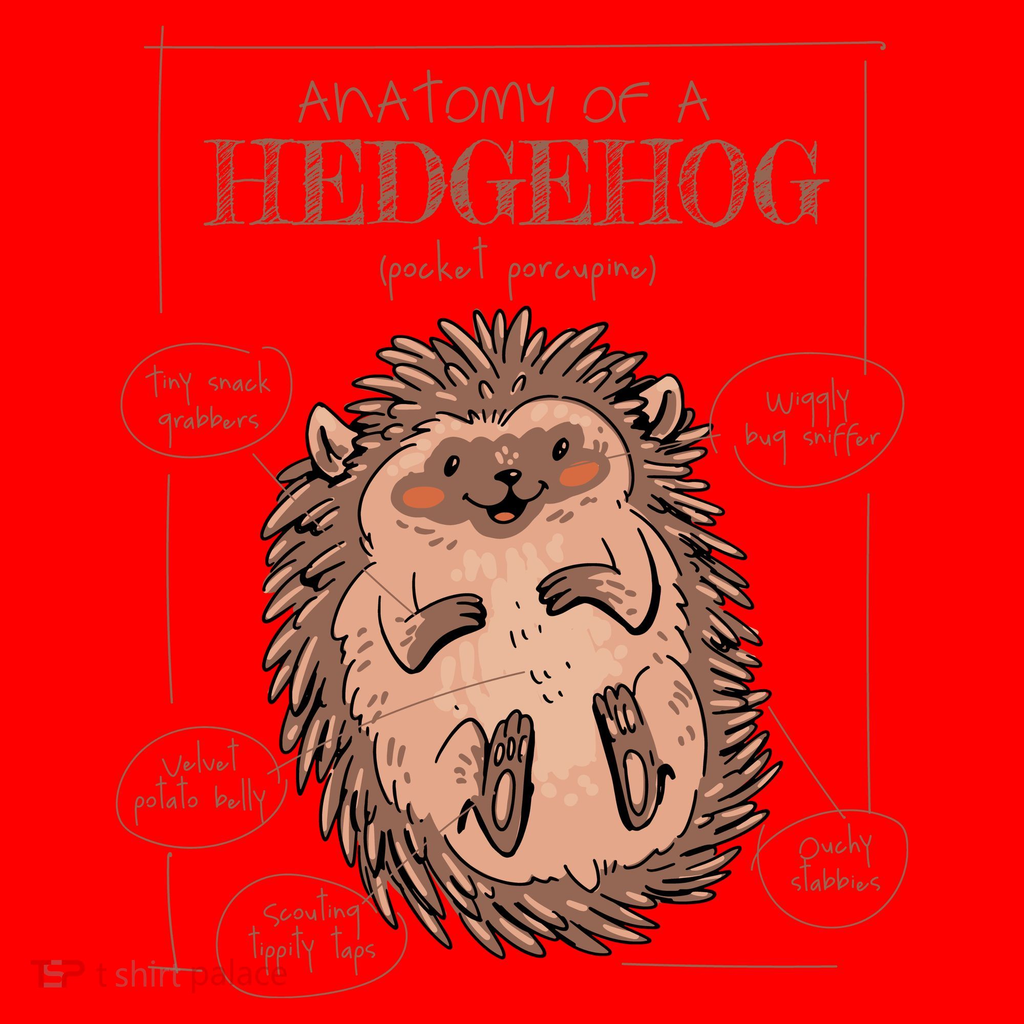 Hedgehog Anatomy Santa Hat