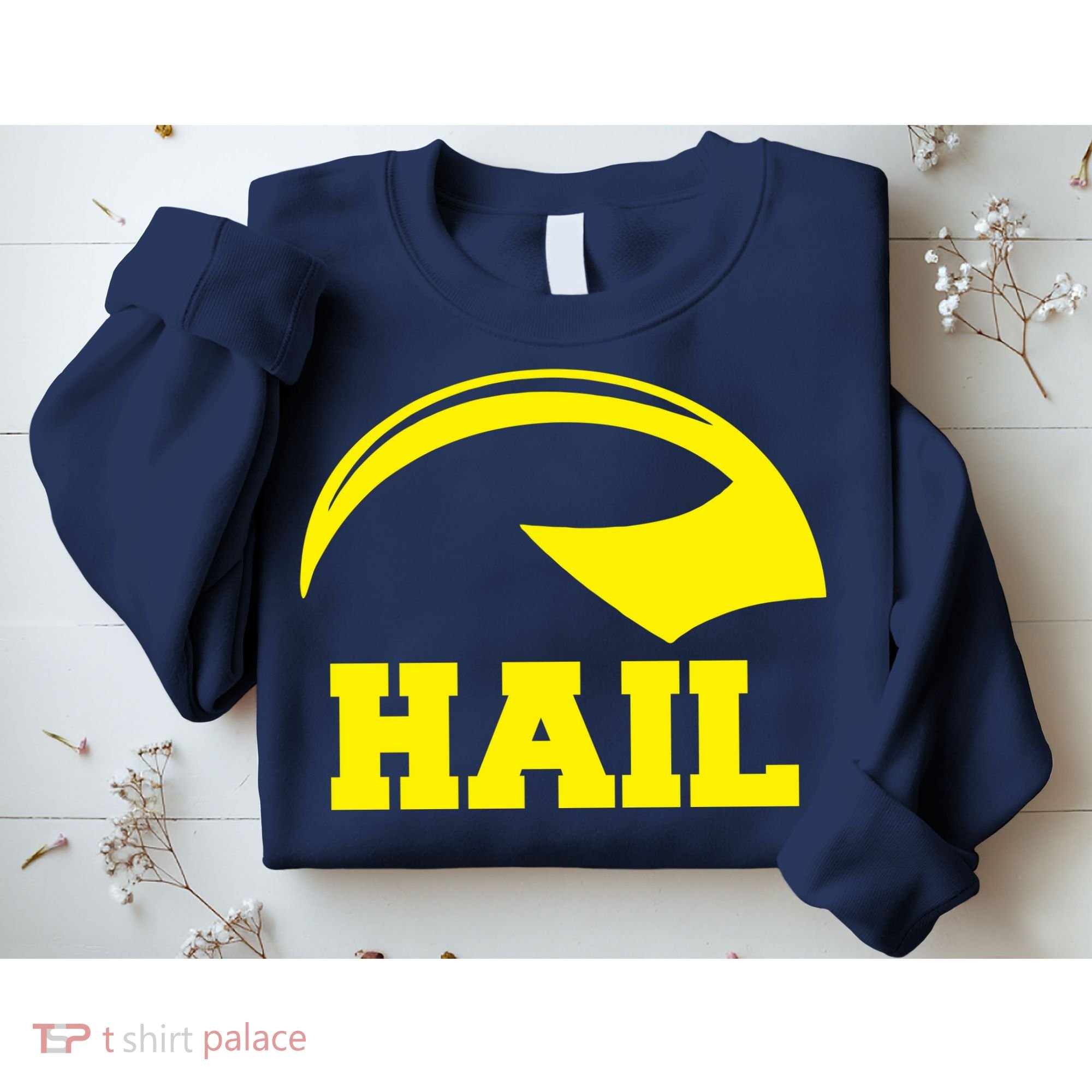 Hail Michigan Helmet Football Victors Sweatshirt