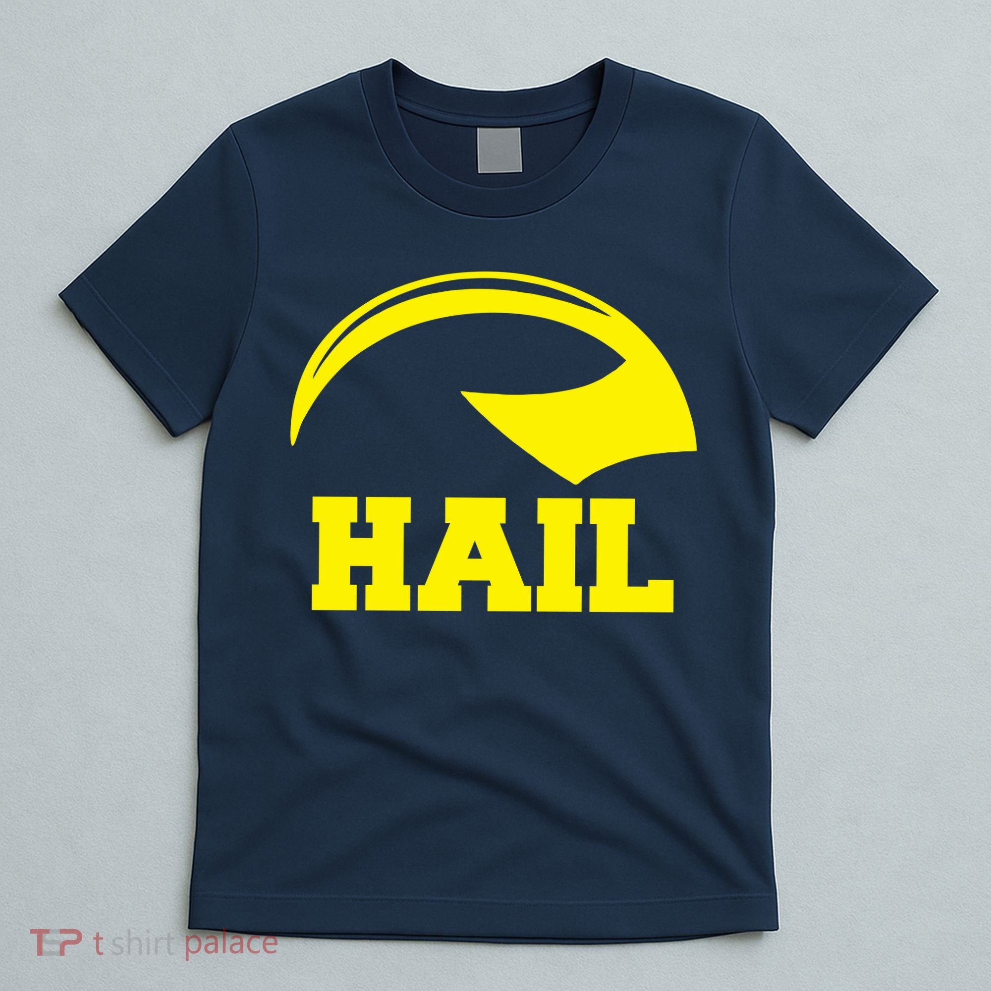 Hail Michigan Helmet Football Victors T-Shirt