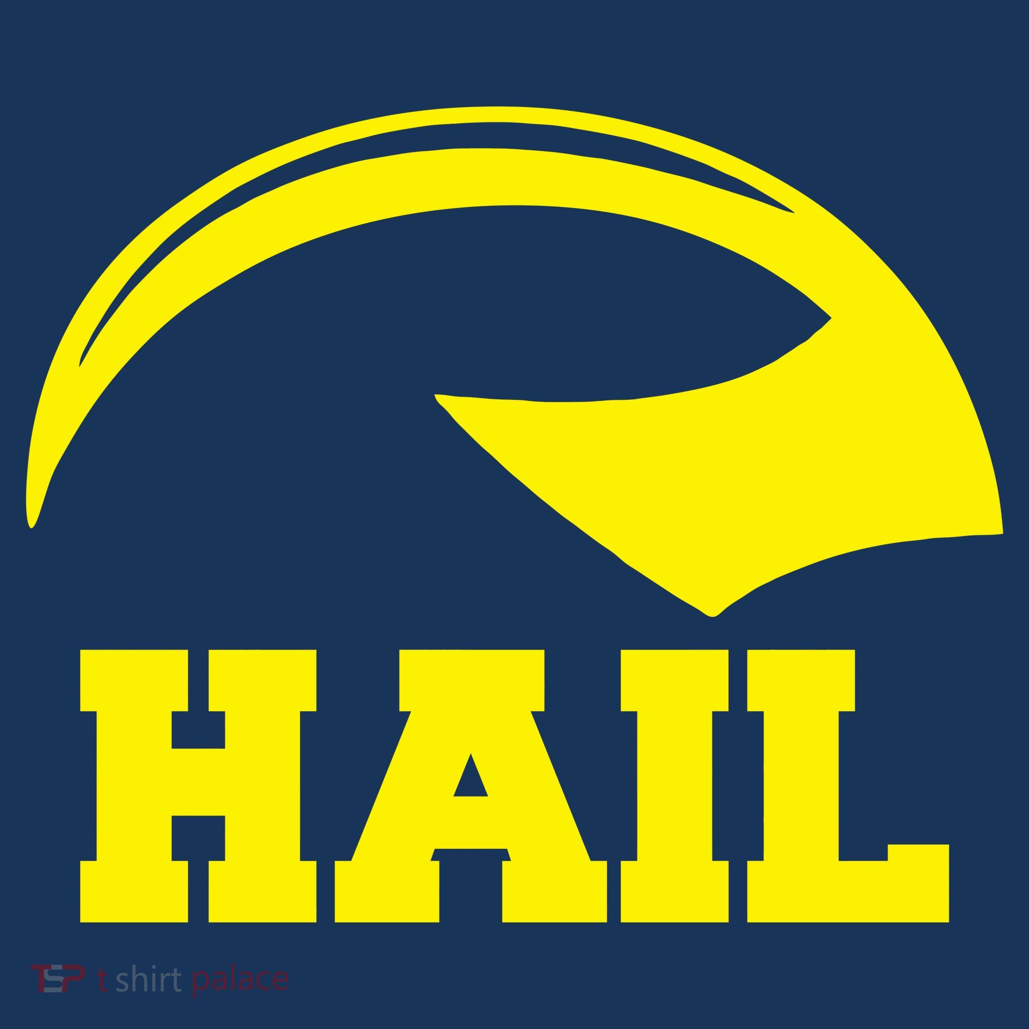 Hail Michigan Helmet Football Victors T-Shirt