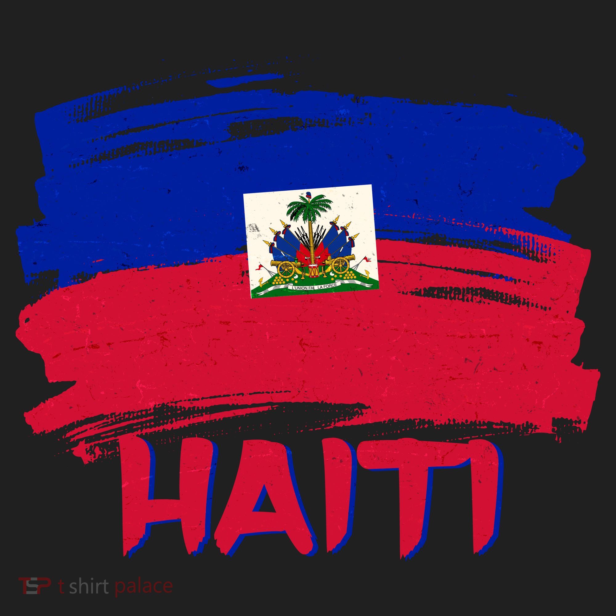 Haiti Distressed Painted Flag Tumbler