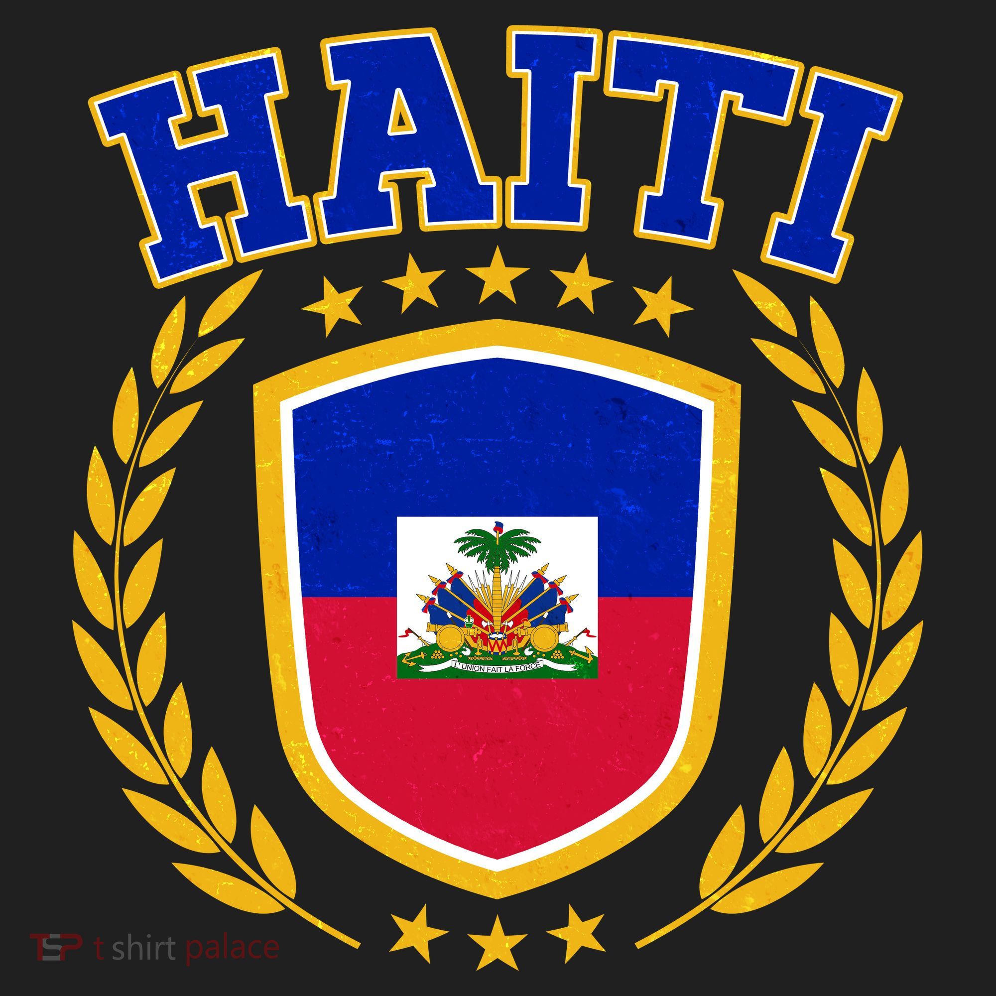 Haiti Flag Crest Shield Logo Urban Oversized Heavyweight T-Shirt