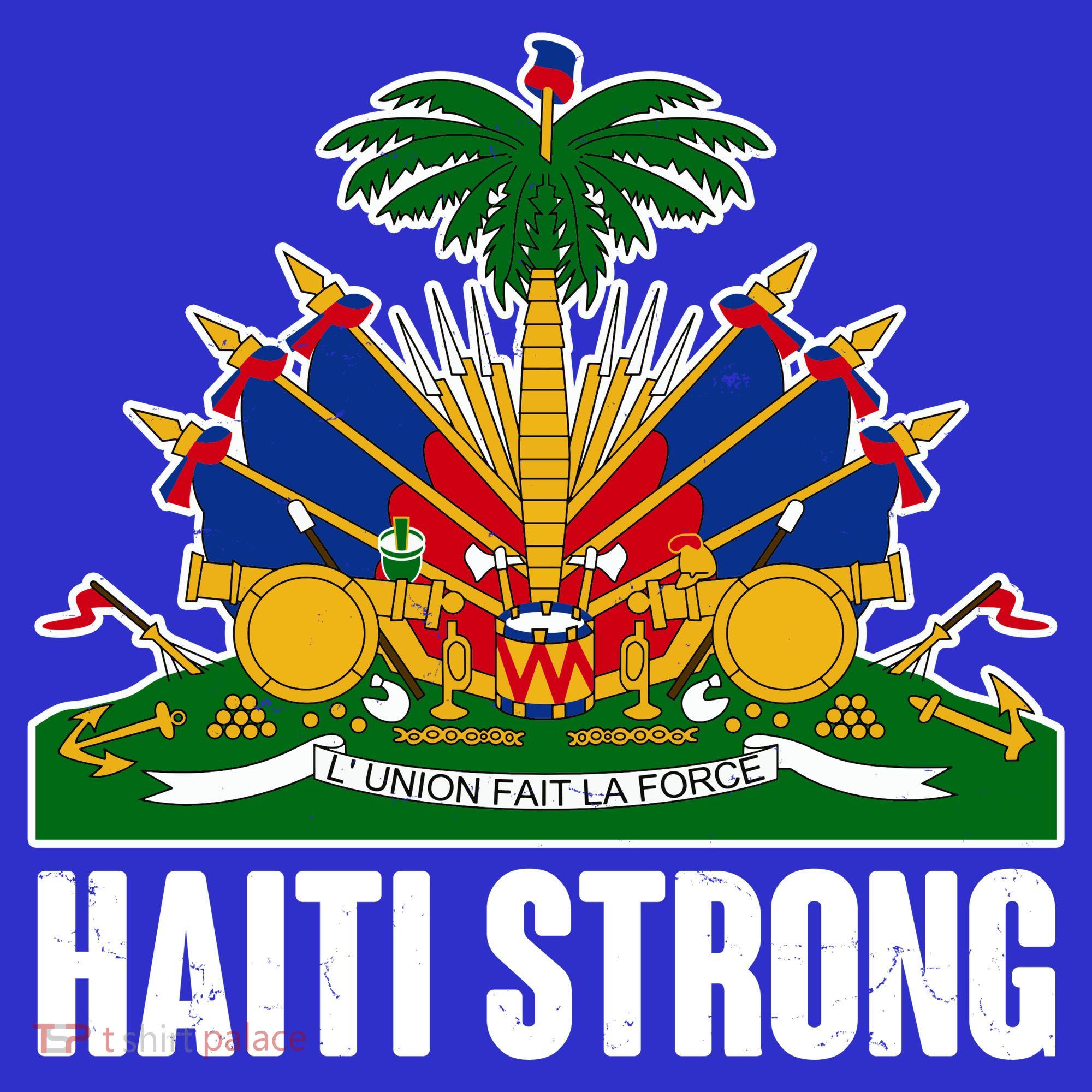 Haiti Strong Flag Symbol Logo Hoodie