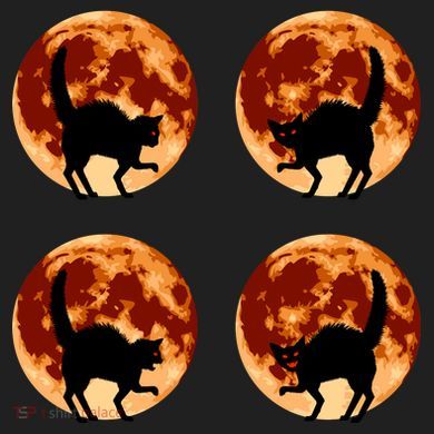 Halloween Cat with Full Moon Phases Comfort Colors Boxy T-Shirt