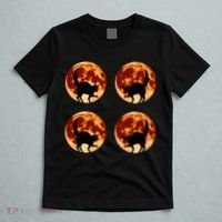 Halloween Cat with Full Moon Phases T-Shirt thumb 5