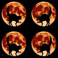 Halloween Cat with Full Moon Phases Baby Bodysuit thumb 2