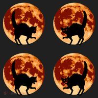 Halloween Cat with Full Moon Phases Hat thumb 2