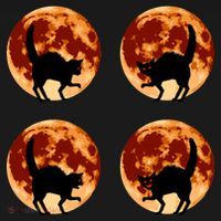 Halloween Cat with Full Moon Phases Tank Top thumb 6