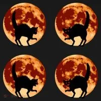 Halloween Cat with Full Moon Phases Kids Long Sleeve Shirt thumb 2