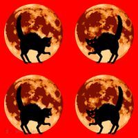Halloween Cat with Full Moon Phases Santa Hat thumb 1